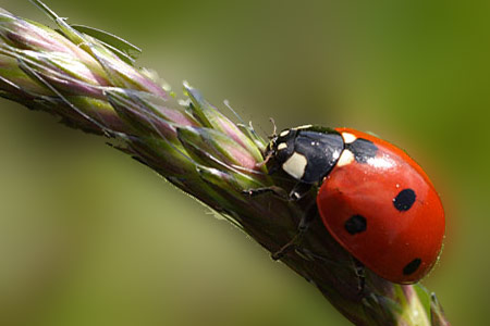 crw_5040_p4u_182.jpg