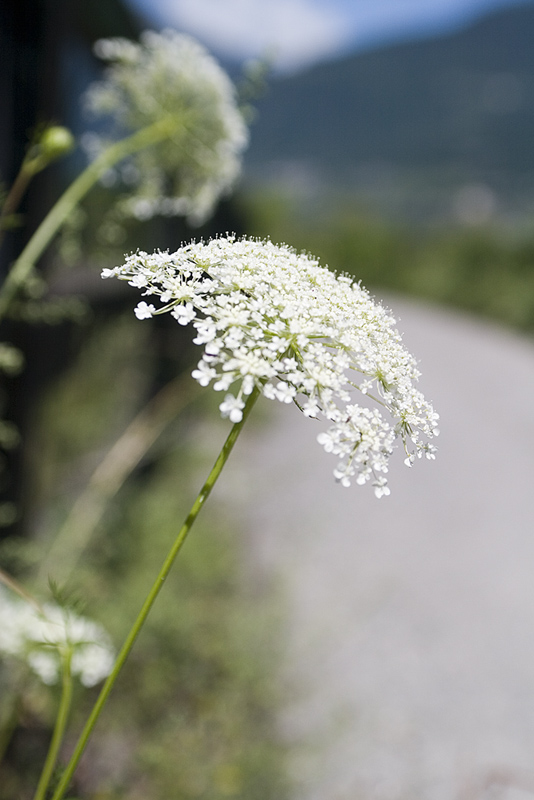 CRW_5700.jpg