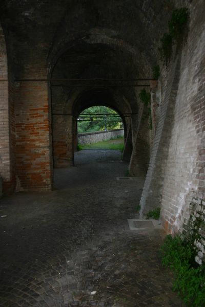CRW_5811_JFR.jpg
