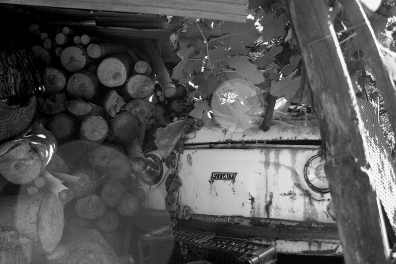 CRW_6516_up_800.jpg