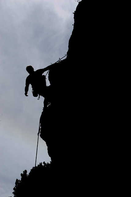 CRW_6639_up.jpg