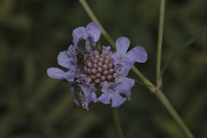 CRW_6663_u.jpg