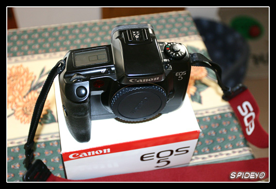 CRW_6686_RJ.jpg