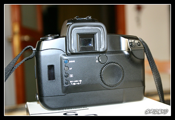 CRW_6687_RJ.jpg