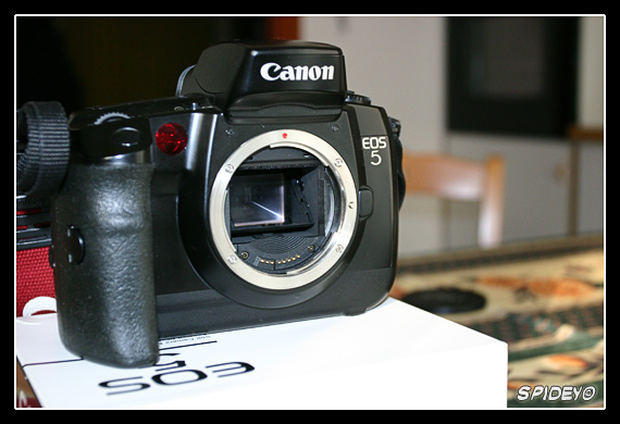 CRW_6689_RJ.jpg