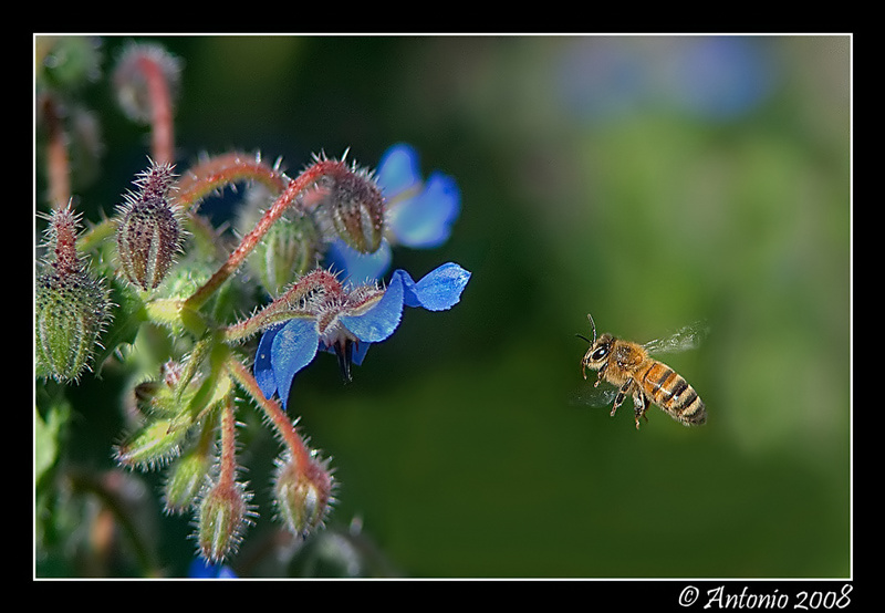CRW_9471_1-copia8.jpg