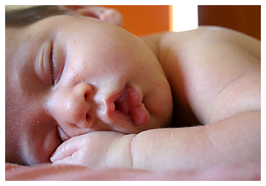 cucciolo1.jpg
