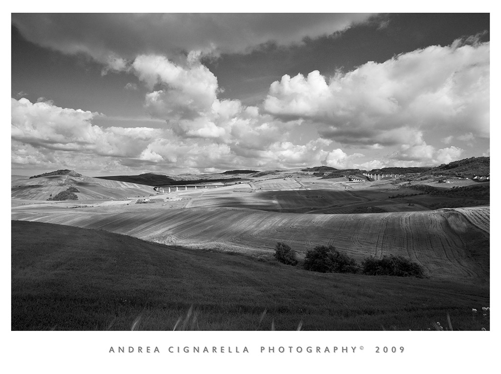 Curve_BW_red.jpg
