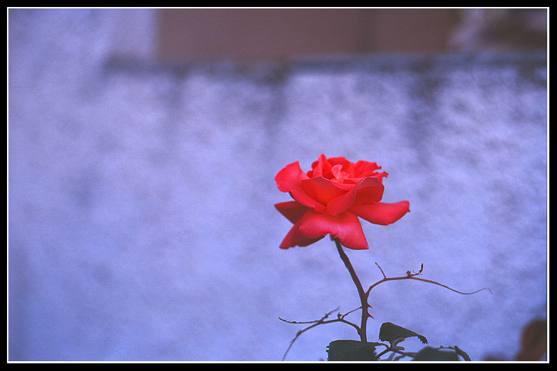 d001_04_el-web.jpg