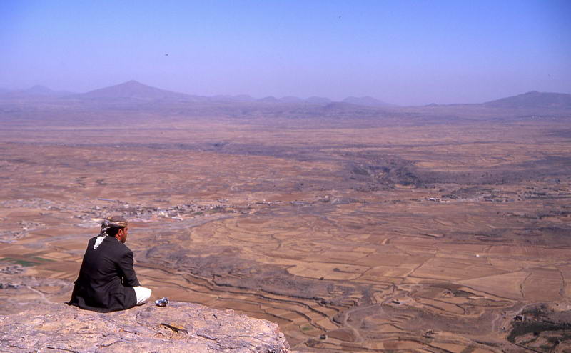 D017328-00-C00.jpg