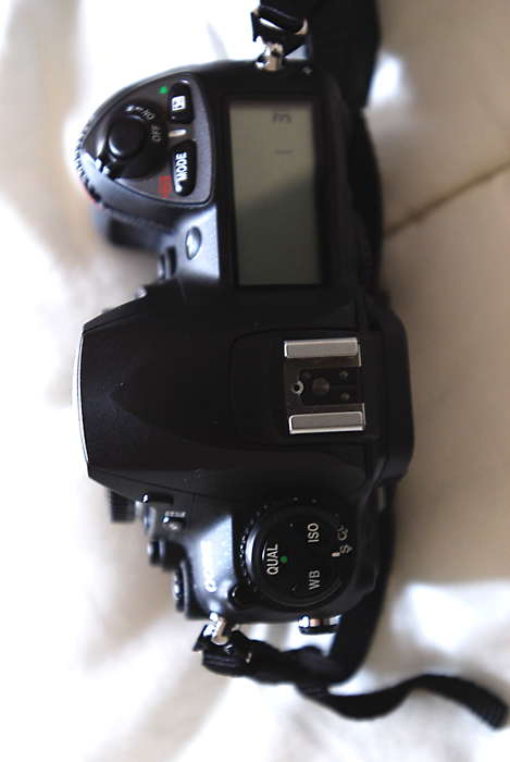 d200 1.jpg