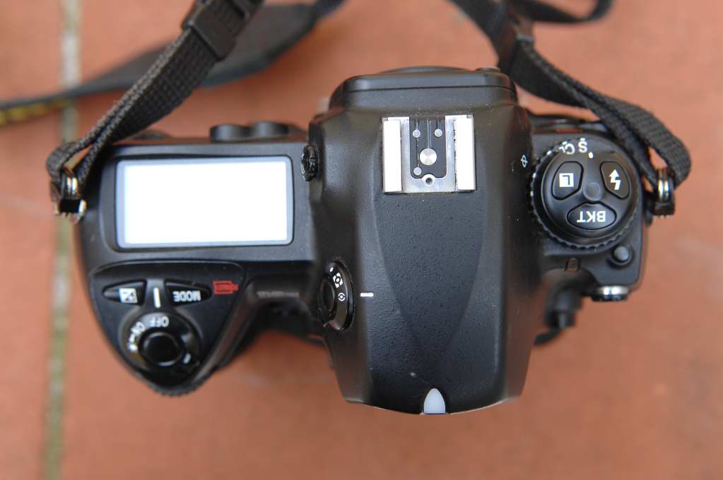 D2X_2563.JPG
