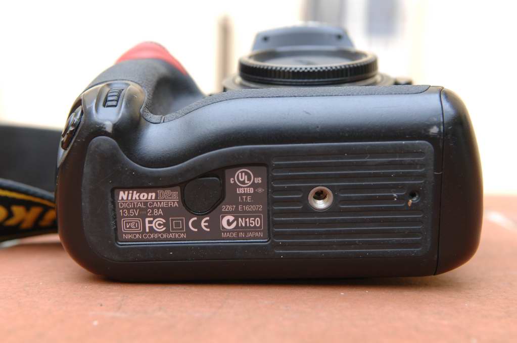 D2X_2564.JPG
