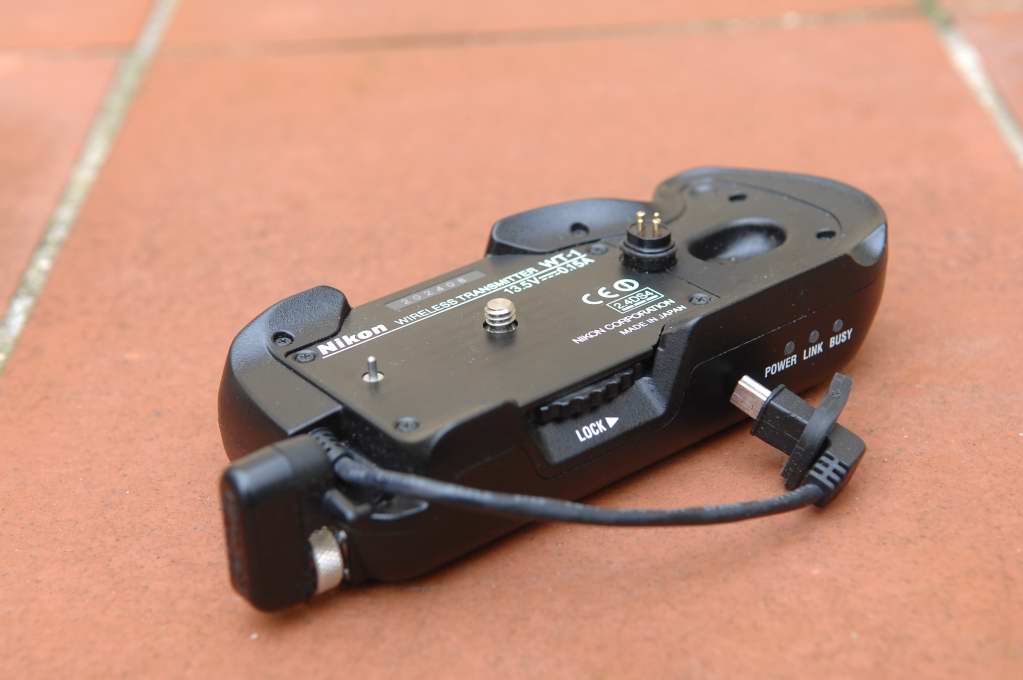 D2X_2568.JPG