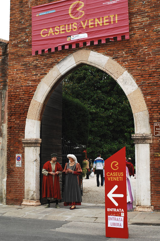 D2X_5367.1.jpg