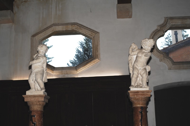 D2X_5374.1.jpg