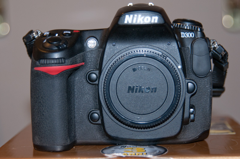 D300-02.jpg
