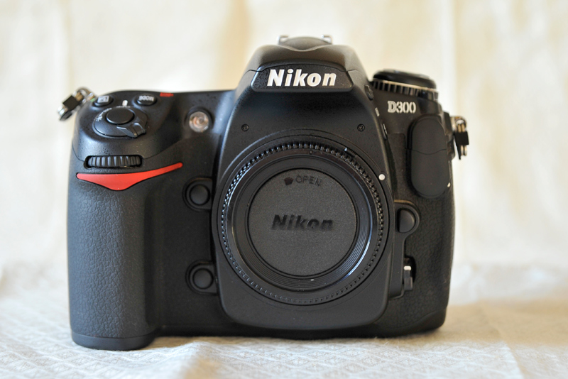 D300_02.jpg