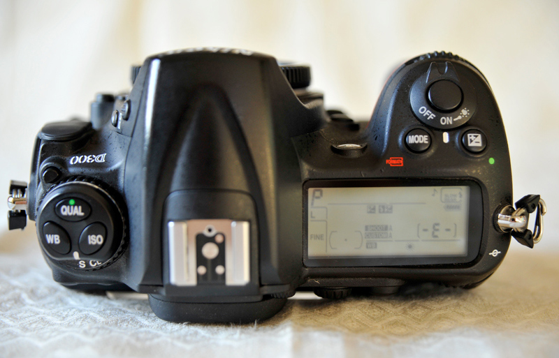 D300_04.jpg