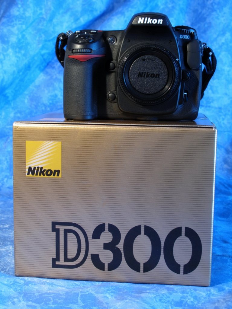 d300_2-IMG_2323_low.JPG