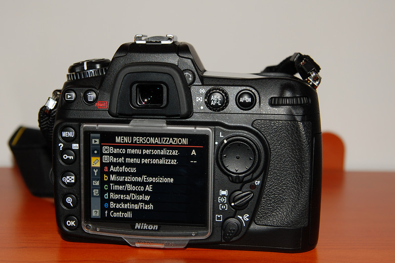 D300_4.jpg
