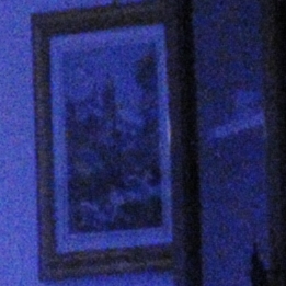 D300.JPG