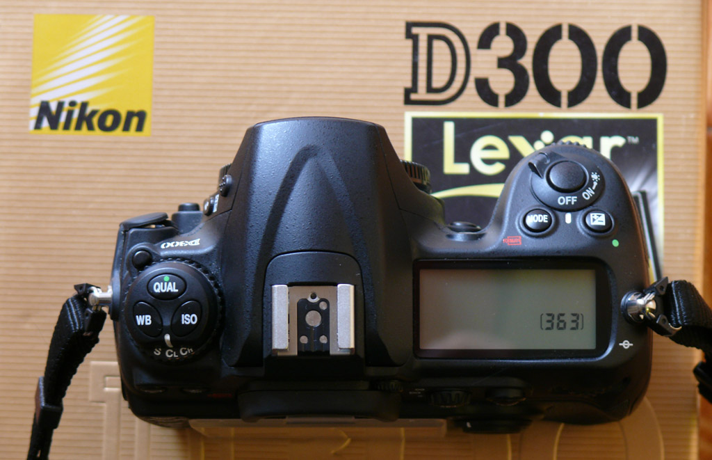 d300_alto1.jpg