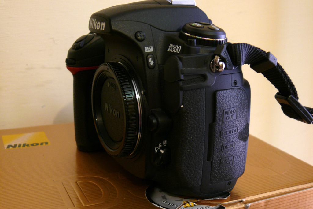 d300_latosx.jpg