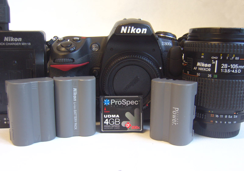 D300A.JPG