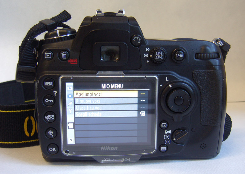 D300C.JPG