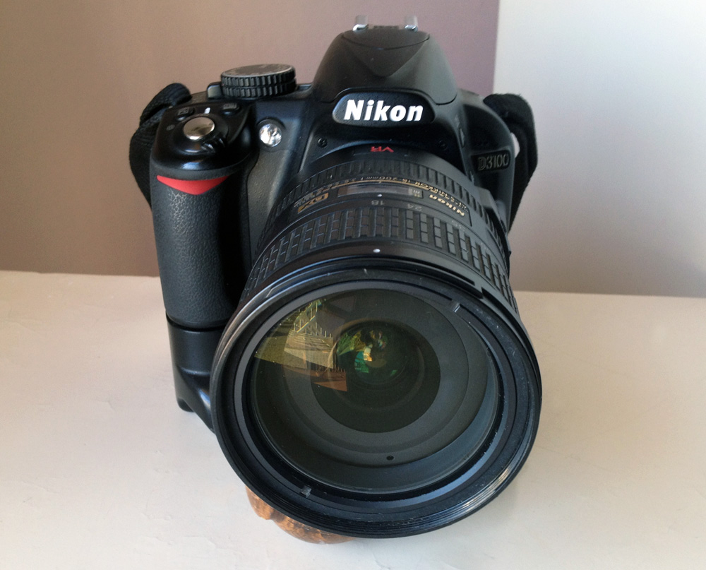 D3100.jpg