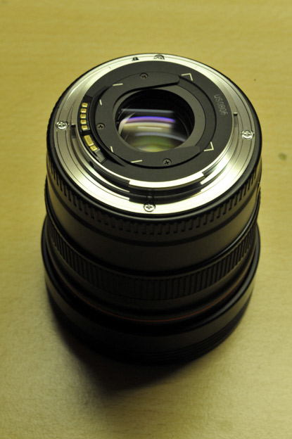 D3L_6767.jpg