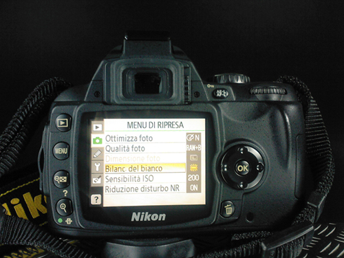 d40_03.jpg