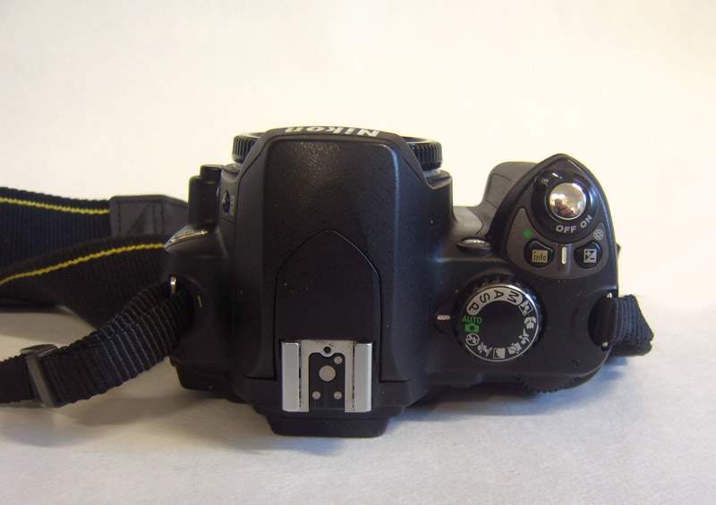 D40 D.jpg