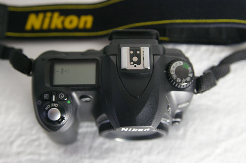D50-3.jpg
