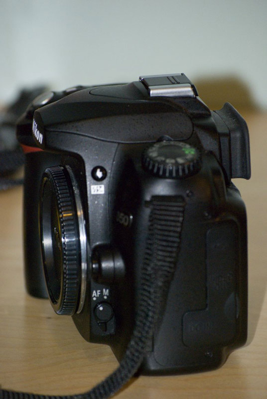 D50-3.jpg