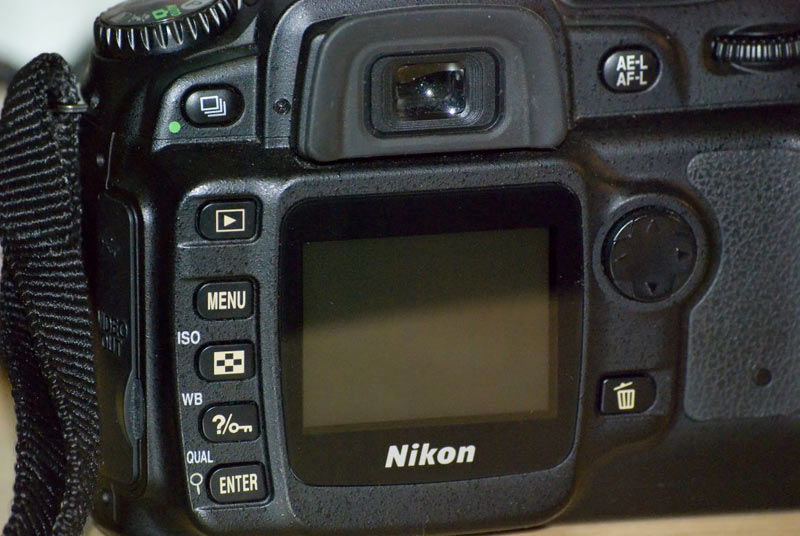 D50-4.jpg