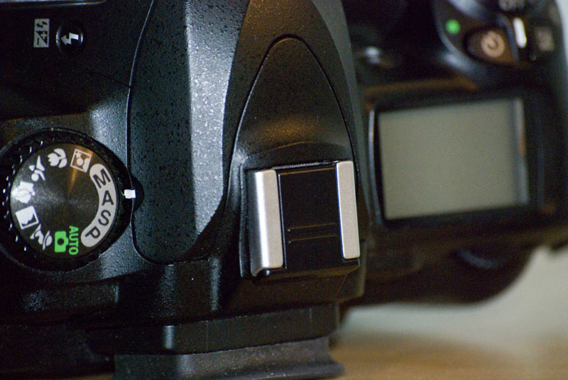 D50-6.jpg