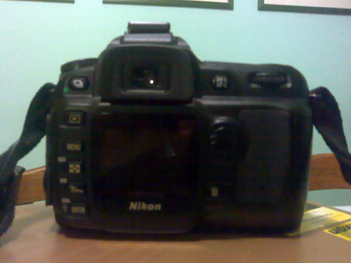 d501.jpg