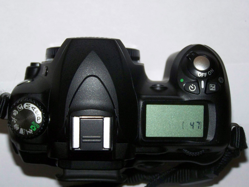 D50 007.jpg