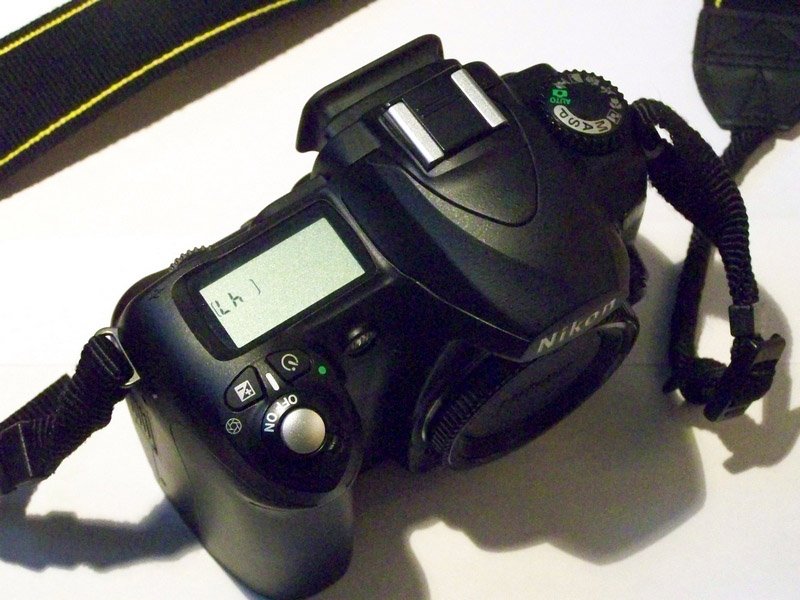 D50.jpg