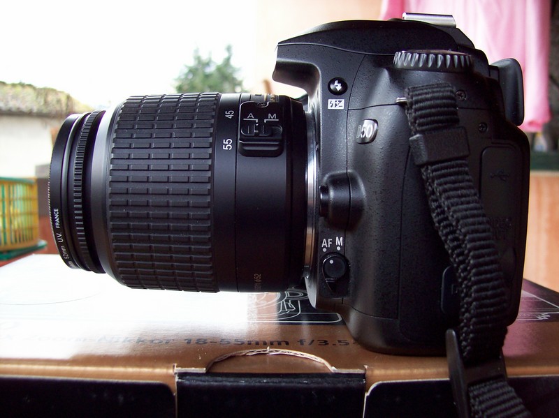 d50 3.jpg