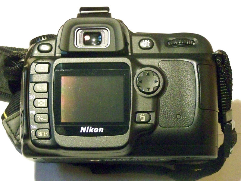 D50_back.jpg