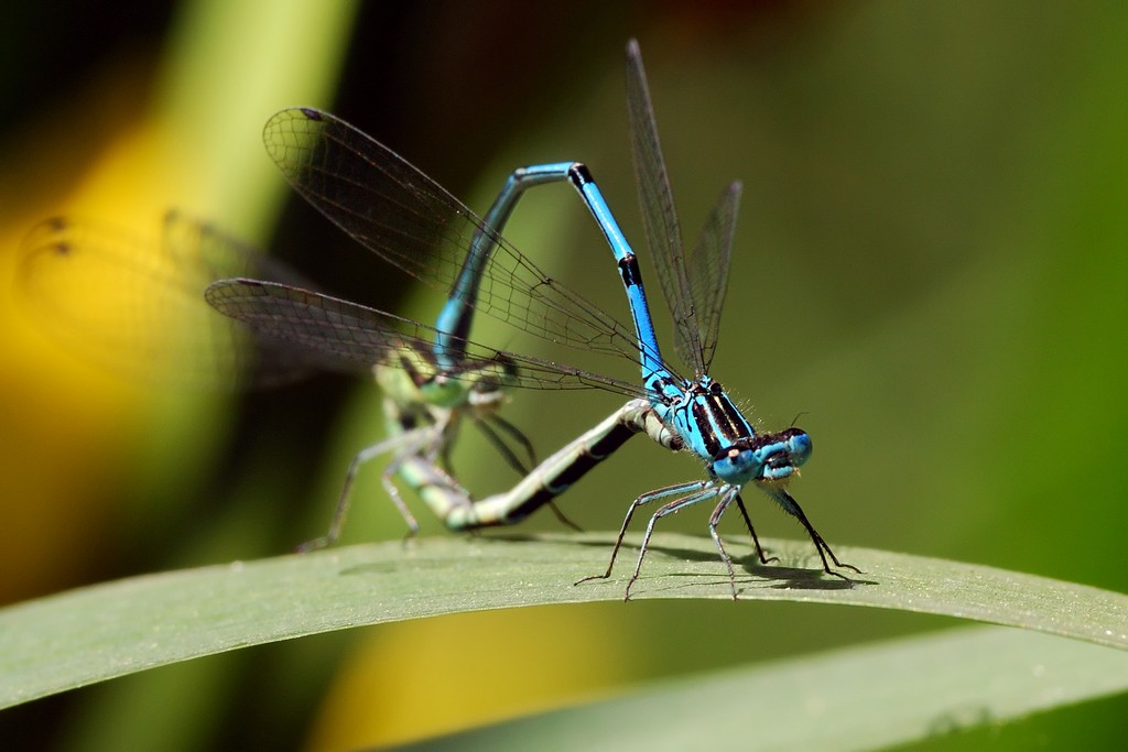 D60_20100521_144448.jpg