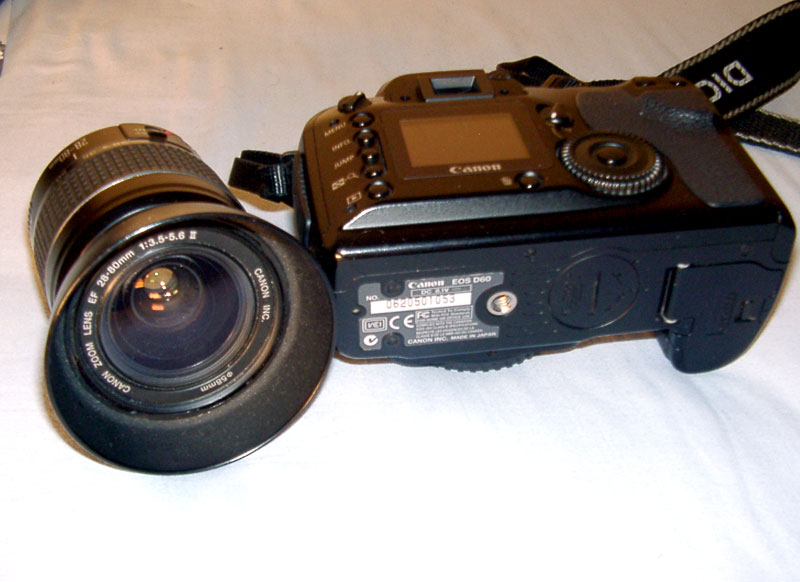 d60_3.jpg