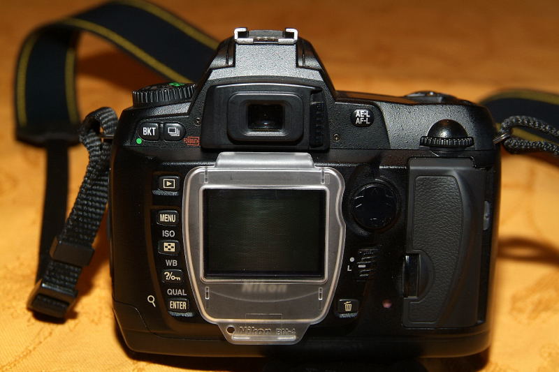 d700003_196.jpg