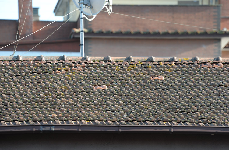 D700_2.jpg