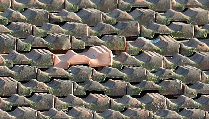 D700_2_Crop.jpg
