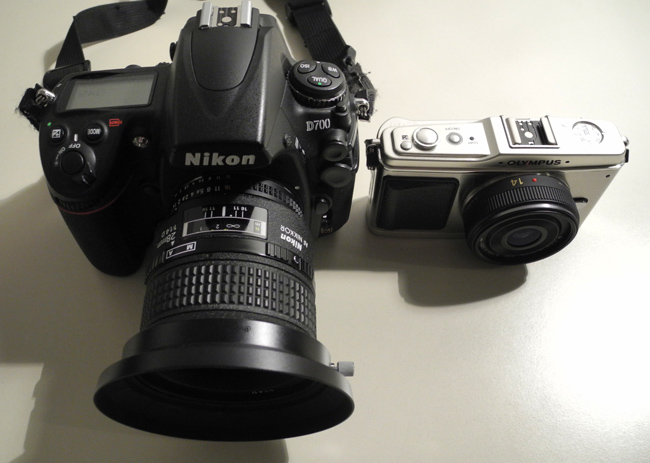 D700 vs E-P1.jpg