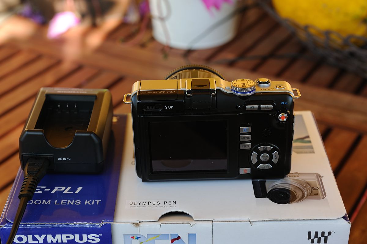 D70_7024.JPG